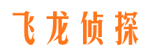 和林格尔侦探